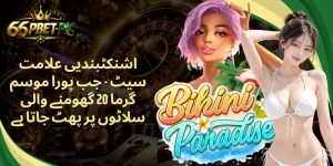 اشنکٹبندیی علامت سیٹ - جب پورا موسم گرما 20 گھومنے والی سلاٹوں پر پھٹ جاتا ہے